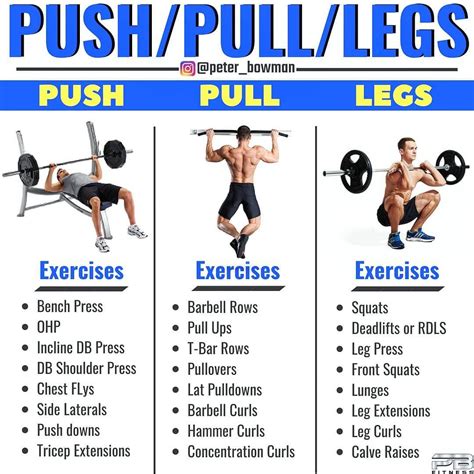 r gainit|best push pull legs routine reddit.